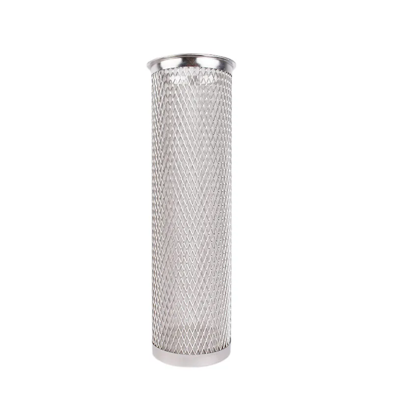 Stainless Mesh Filter
